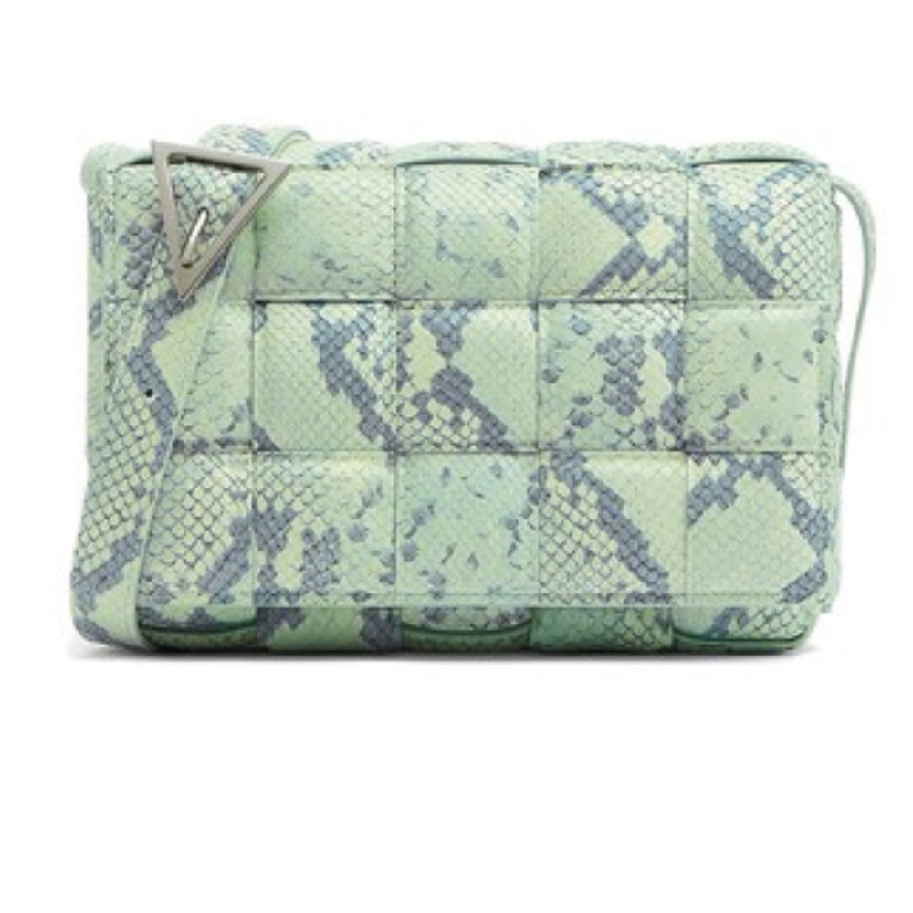 Bottega Veneta snakeskin cassette bag.